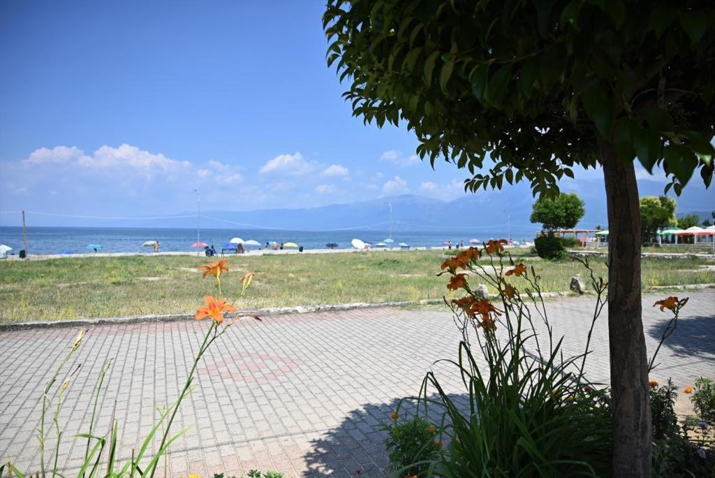 B & B Pogradec Esterno foto